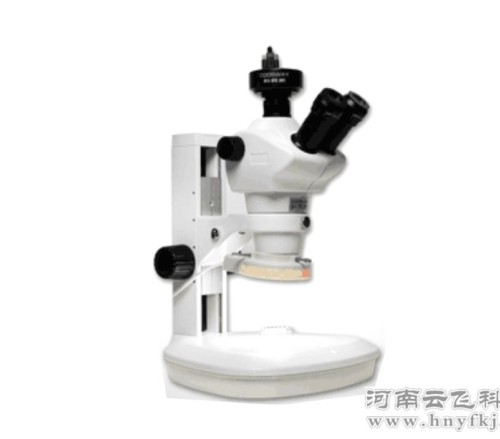 解剖镜及成像设备