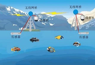 云飞农业物联网帮助水产养殖升转型