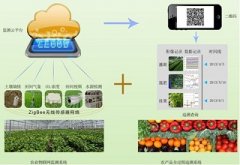 农业物联网在我国有出路吗？
