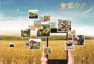 云飞智慧农业的关键技术及带来的价值