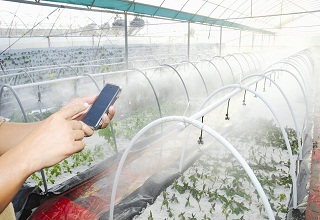 云飞智慧农业保障蔬菜种植安全