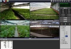 农业物联网在西红柿大棚中的应用