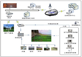 农业物联网解决方案特别适合在茶叶生产种植中使用