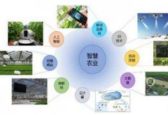 智慧农业有哪些作用？