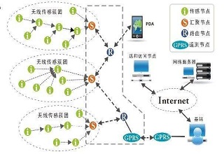 农业物联网在景区森林防护的应用效果