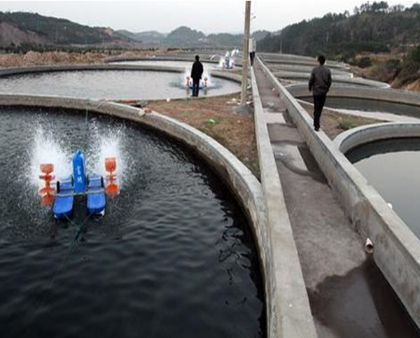 水产养殖智能监控系统