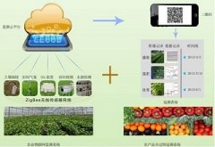 为什么农业物联网不受欢迎？